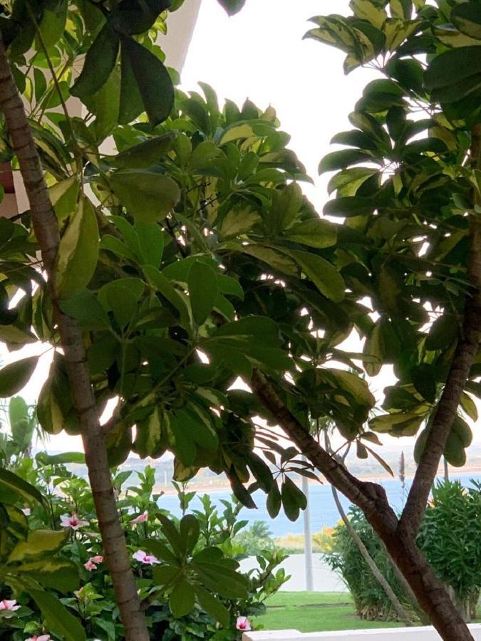 Wow Relax+Terrace+3 Minutes To Beach+10 Min City Lagos Exterior photo
